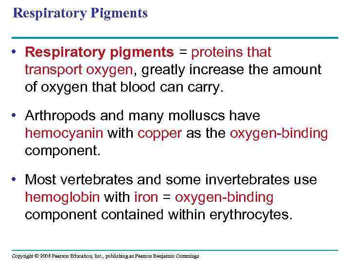 Respiratory Pigments • Respiratory pigments = proteins that transport oxygen, greatly increase the amount