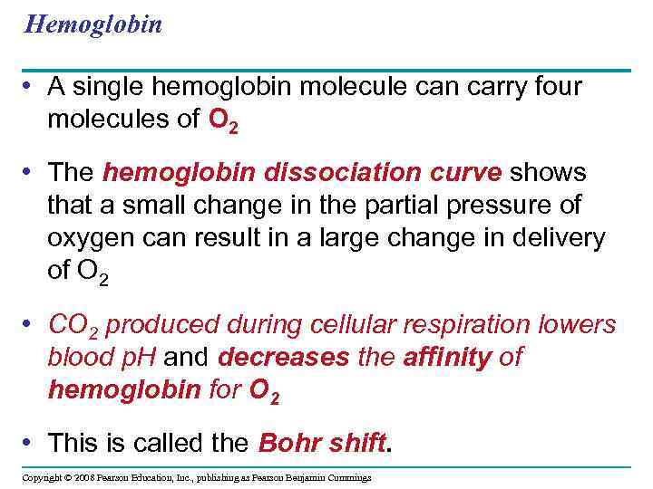 Hemoglobin • A single hemoglobin molecule can carry four molecules of O 2 •