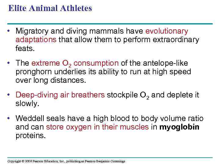 Elite Animal Athletes • Migratory and diving mammals have evolutionary adaptations that allow them