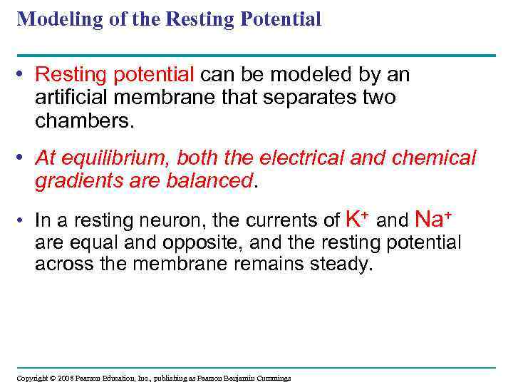 Modeling of the Resting Potential • Resting potential can be modeled by an artificial