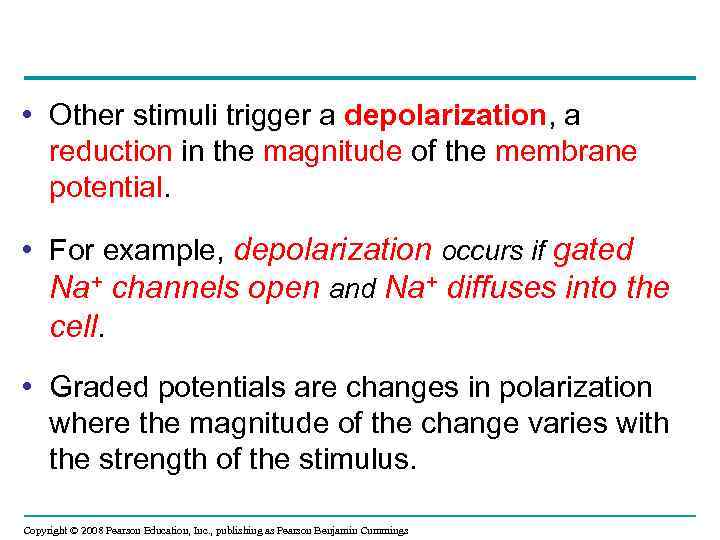  • Other stimuli trigger a depolarization, a reduction in the magnitude of the