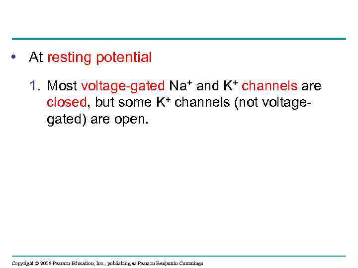  • At resting potential 1. Most voltage-gated Na+ and K+ channels are closed,