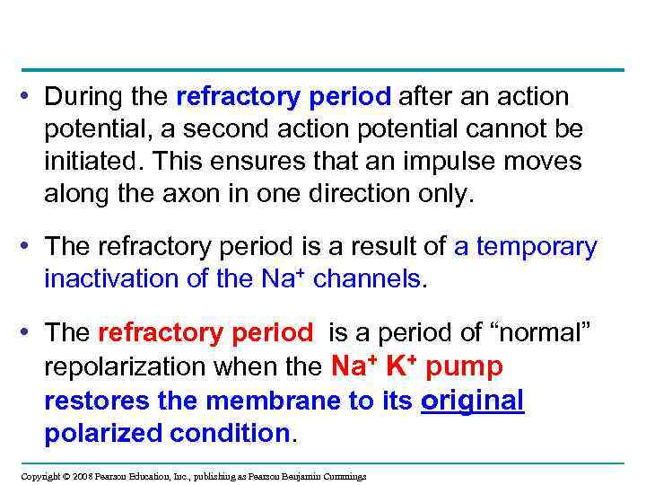  • During the refractory period after an action potential, a second action potential