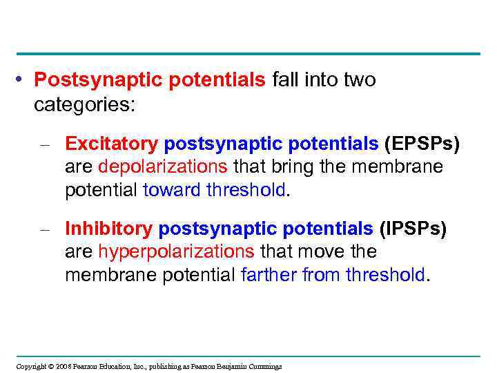  • Postsynaptic potentials fall into two categories: – Excitatory postsynaptic potentials (EPSPs) are