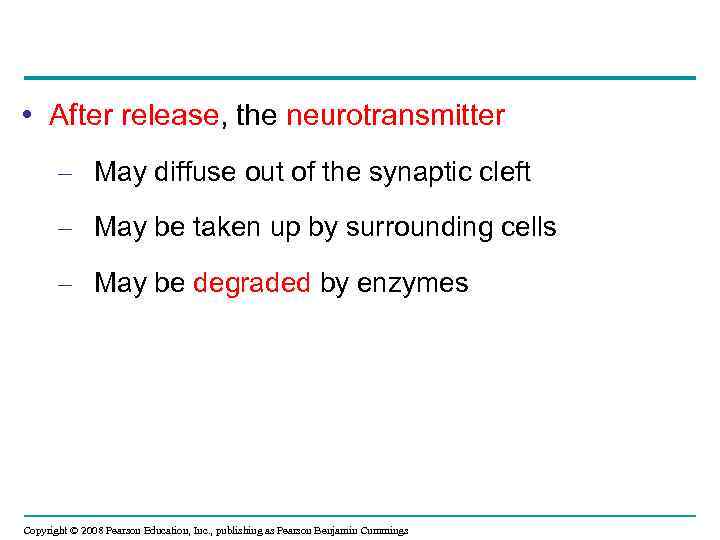  • After release, the neurotransmitter – May diffuse out of the synaptic cleft