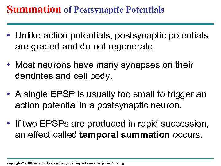 Summation of Postsynaptic Potentials • Unlike action potentials, postsynaptic potentials are graded and do