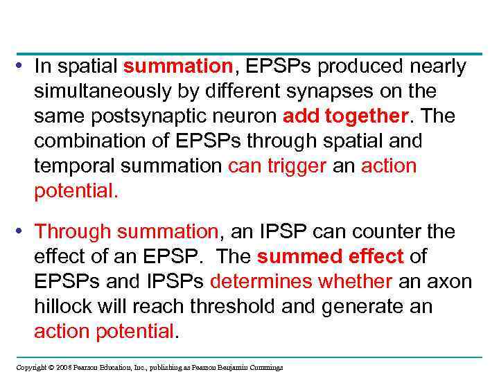  • In spatial summation, EPSPs produced nearly simultaneously by different synapses on the