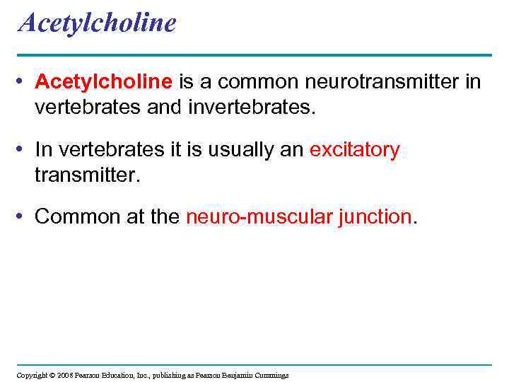 Acetylcholine • Acetylcholine is a common neurotransmitter in vertebrates and invertebrates. • In vertebrates