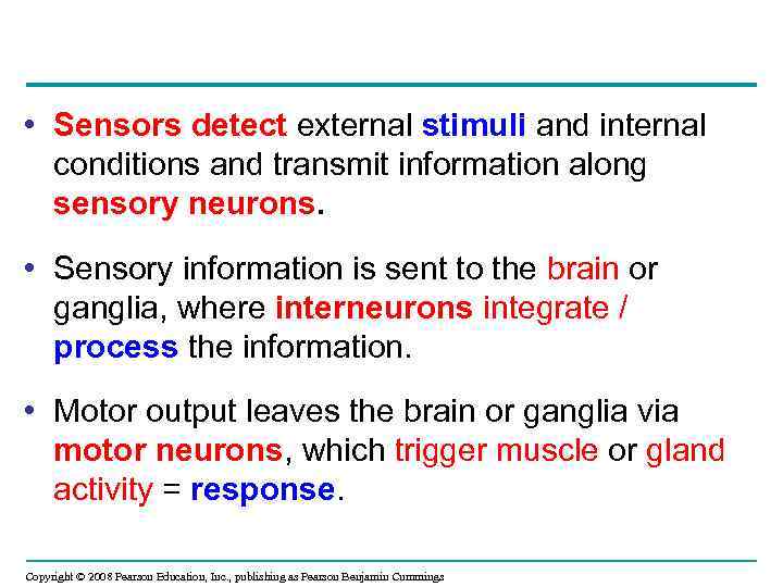  • Sensors detect external stimuli and internal conditions and transmit information along sensory