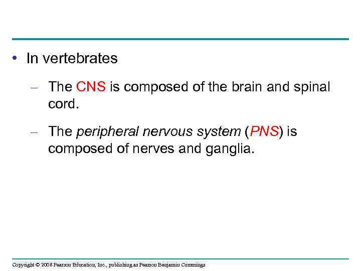  • In vertebrates – The CNS is composed of the brain and spinal