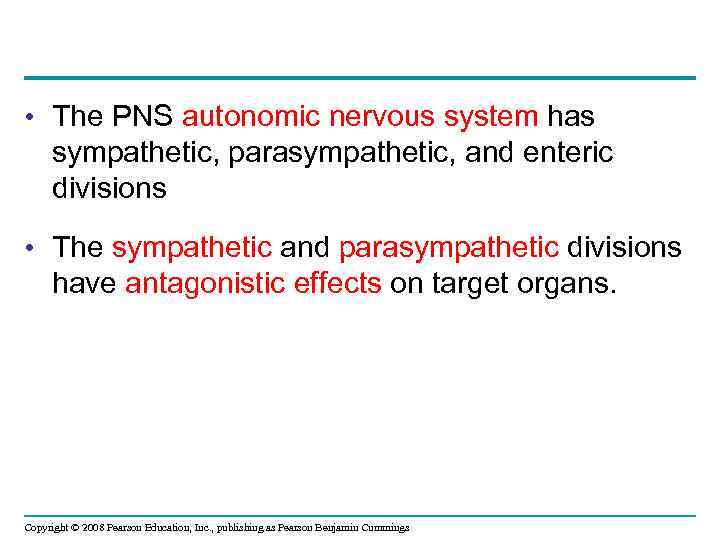  • The PNS autonomic nervous system has sympathetic, parasympathetic, and enteric divisions •