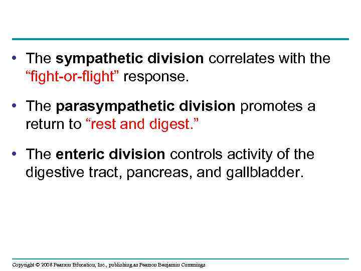  • The sympathetic division correlates with the “fight-or-flight” response. • The parasympathetic division