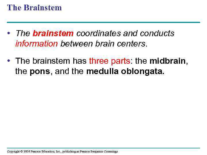 The Brainstem • The brainstem coordinates and conducts information between brain centers. • The