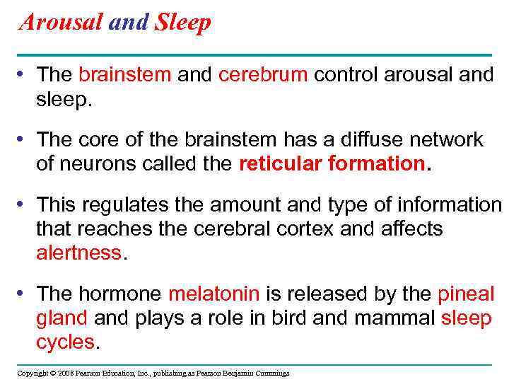 Arousal and Sleep • The brainstem and cerebrum control arousal and sleep. • The