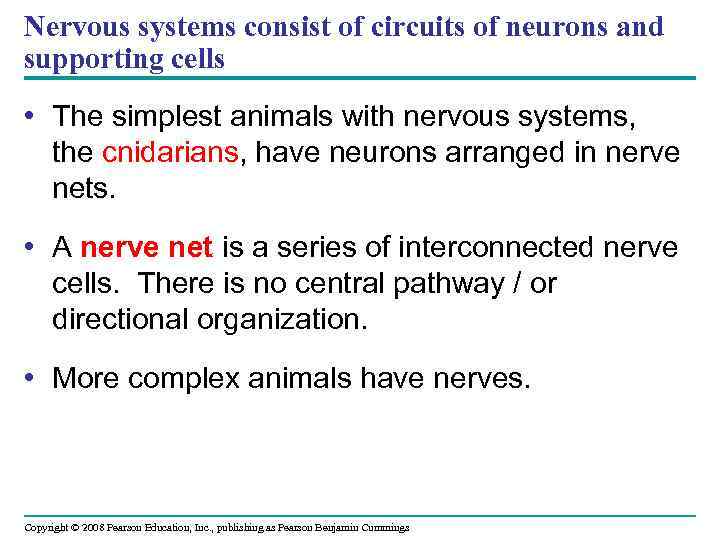 Nervous systems consist of circuits of neurons and supporting cells • The simplest animals