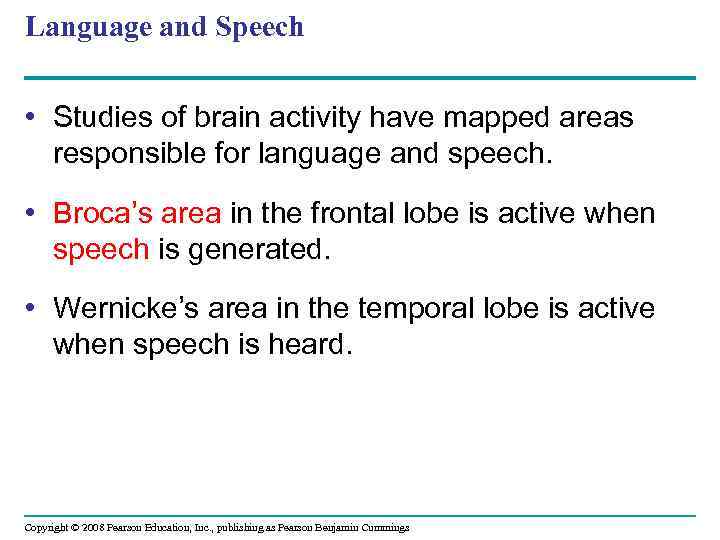 Language and Speech • Studies of brain activity have mapped areas responsible for language