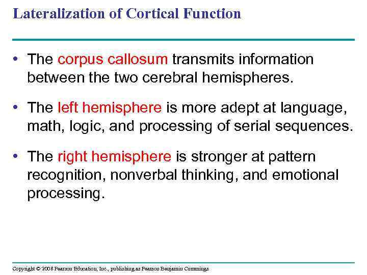 Lateralization of Cortical Function • The corpus callosum transmits information between the two cerebral