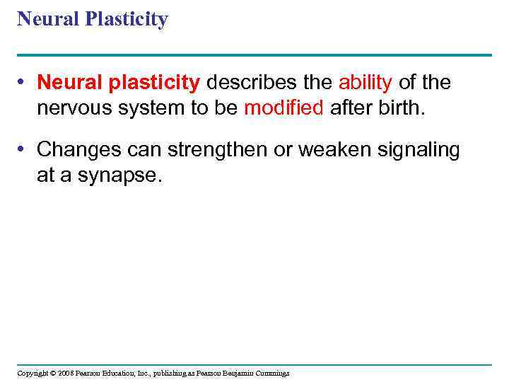 Neural Plasticity • Neural plasticity describes the ability of the nervous system to be