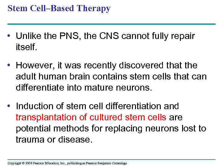 Stem Cell–Based Therapy • Unlike the PNS, the CNS cannot fully repair itself. •