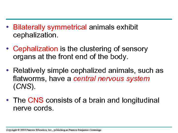  • Bilaterally symmetrical animals exhibit cephalization. • Cephalization is the clustering of sensory