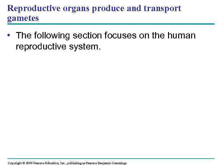 Reproductive organs produce and transport gametes • The following section focuses on the human