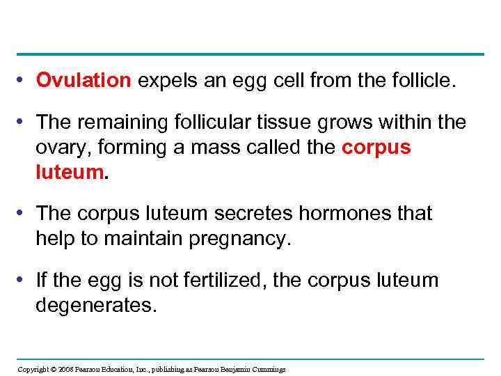  • Ovulation expels an egg cell from the follicle. • The remaining follicular