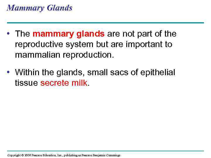 Mammary Glands • The mammary glands are not part of the reproductive system but