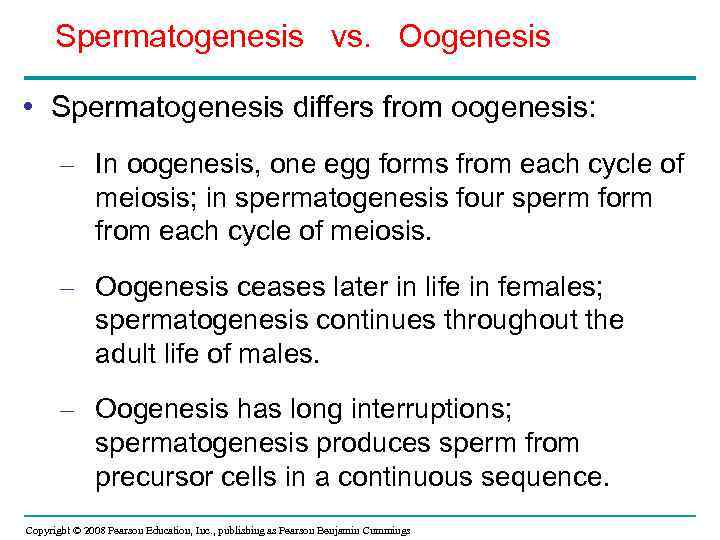 Spermatogenesis vs. Oogenesis • Spermatogenesis differs from oogenesis: – In oogenesis, one egg forms
