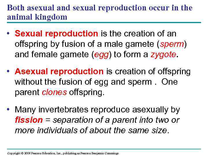 Both asexual and sexual reproduction occur in the animal kingdom • Sexual reproduction is