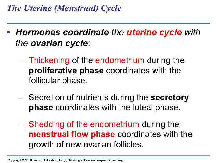 The Uterine (Menstrual) Cycle • Hormones coordinate the uterine cycle with the ovarian cycle: