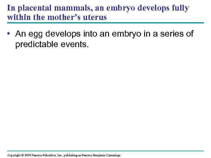 In placental mammals, an embryo develops fully within the mother’s uterus • An egg