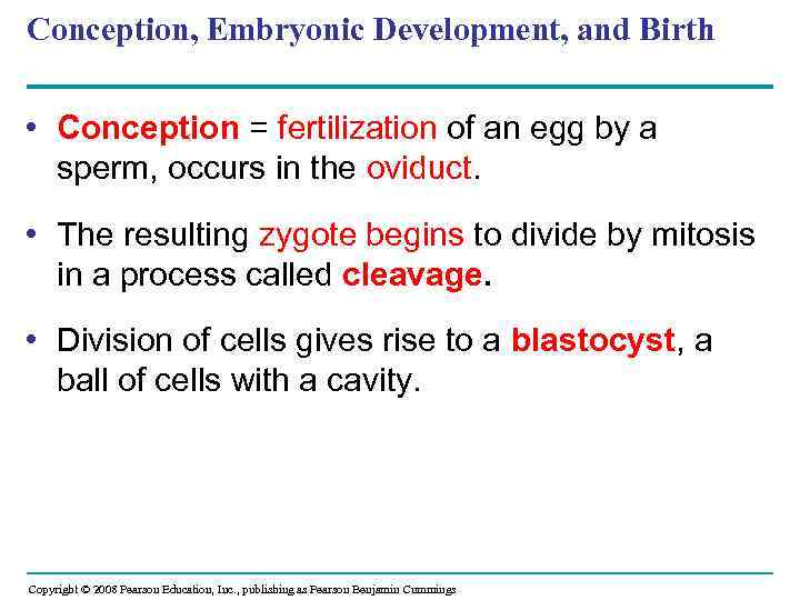 Conception, Embryonic Development, and Birth • Conception = fertilization of an egg by a