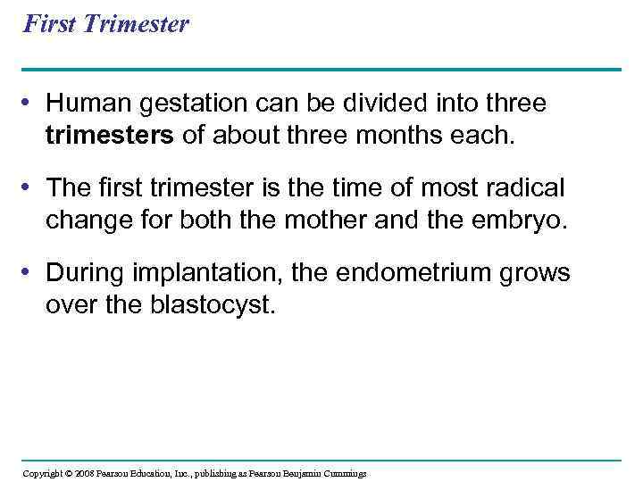First Trimester • Human gestation can be divided into three trimesters of about three