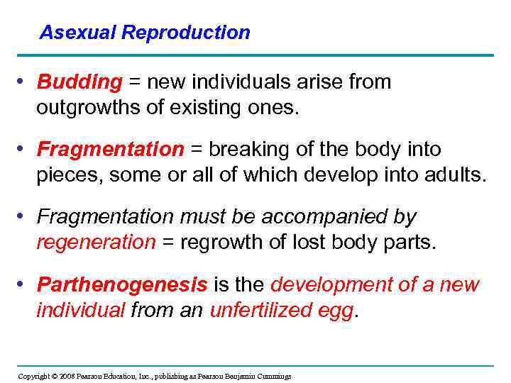 Asexual Reproduction • Budding = new individuals arise from outgrowths of existing ones. •