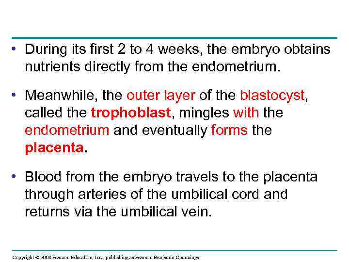  • During its first 2 to 4 weeks, the embryo obtains nutrients directly