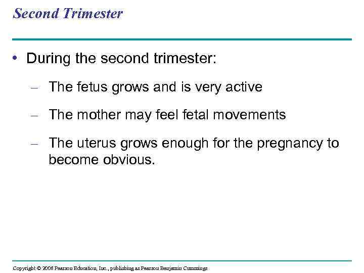 Second Trimester • During the second trimester: – The fetus grows and is very