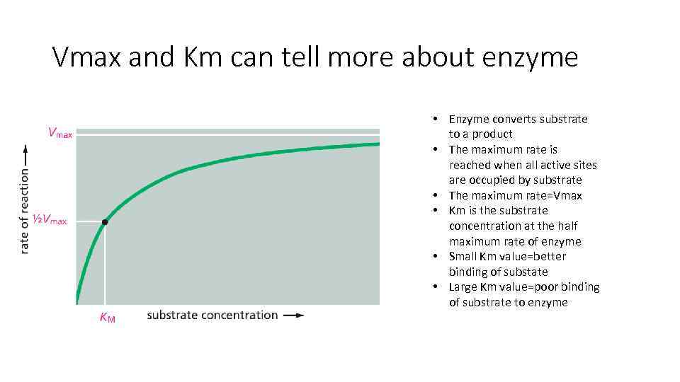 Vmax and Km can tell more about enzyme • Enzyme converts substrate to a