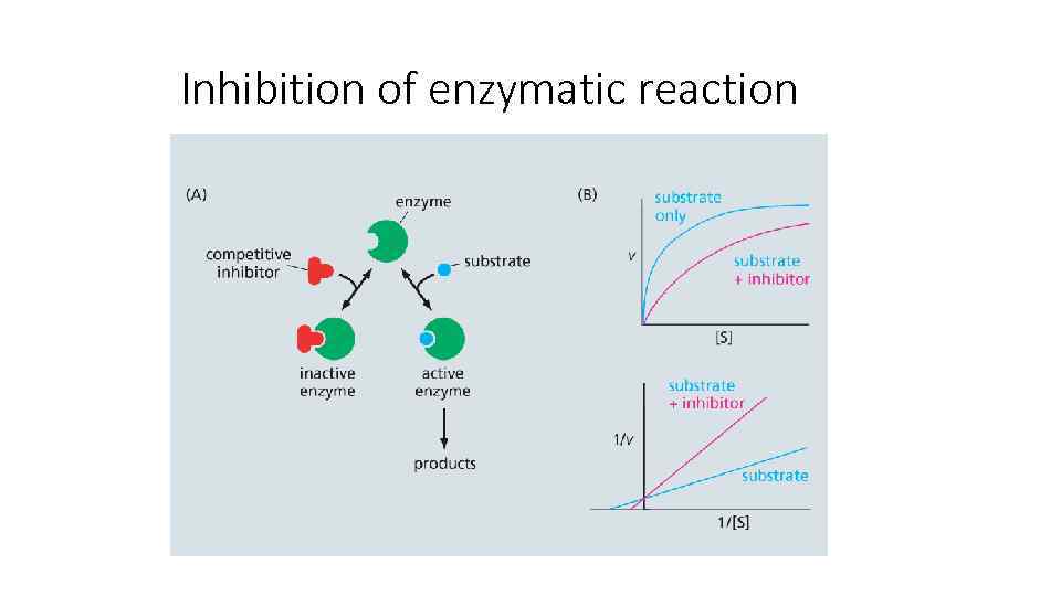 Inhibition of enzymatic reaction 