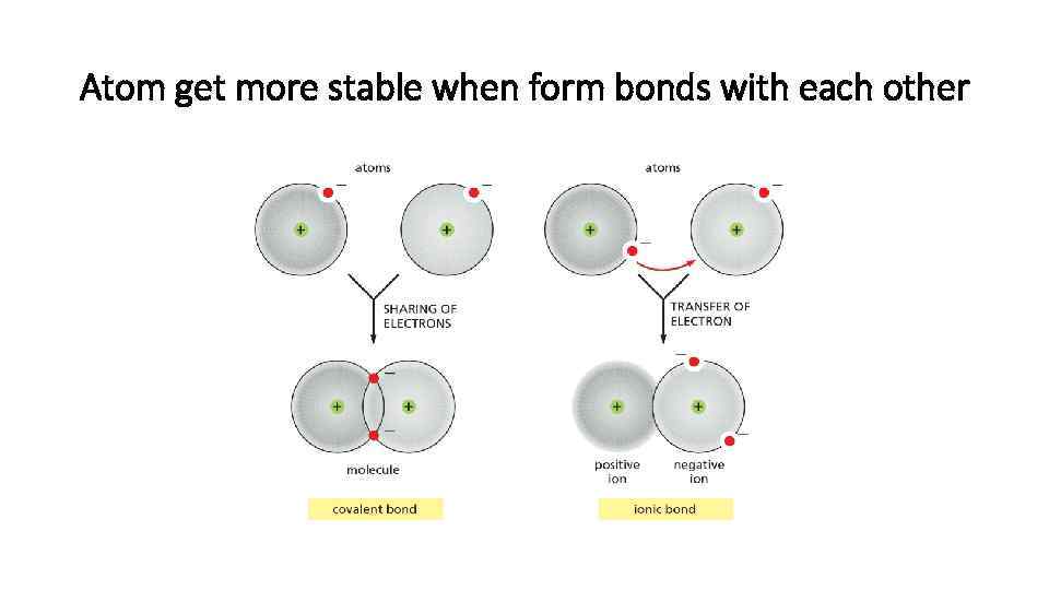 Atom get more stable when form bonds with each other 