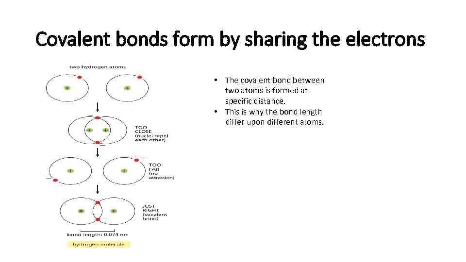 Covalent bonds form by sharing the electrons • The covalent bond between two atoms