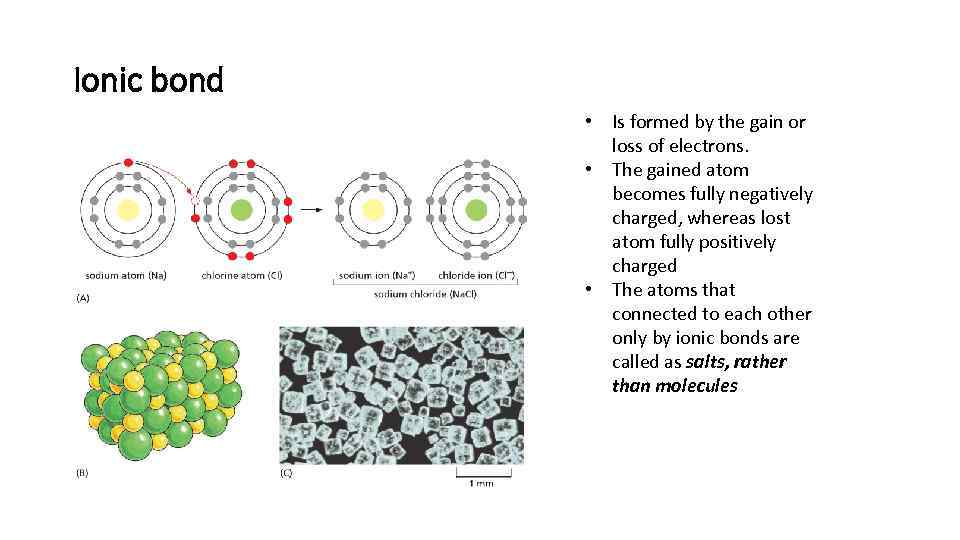 Ionic bond • Is formed by the gain or loss of electrons. • The