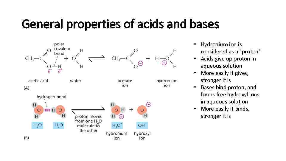 General properties of acids and bases • Hydronium ion is considered as a "proton"