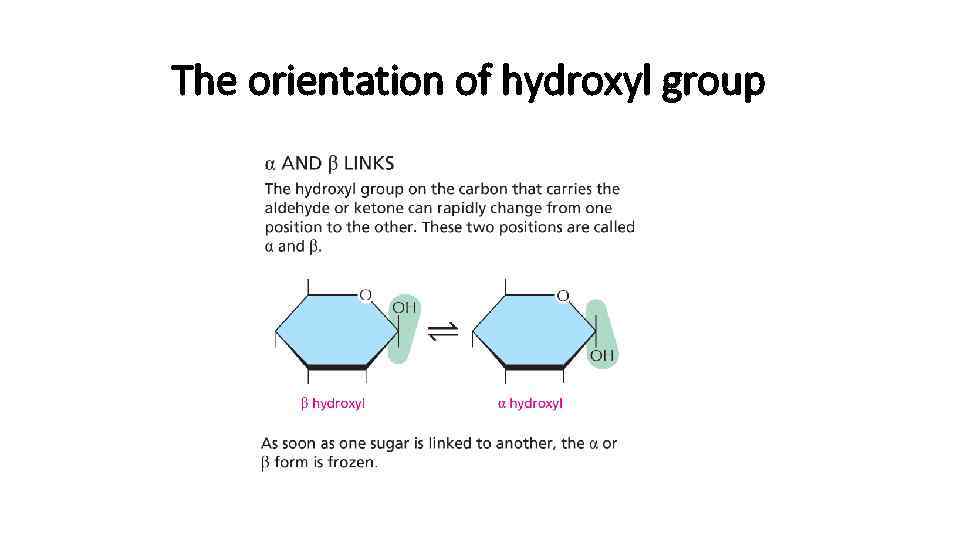 The orientation of hydroxyl group 