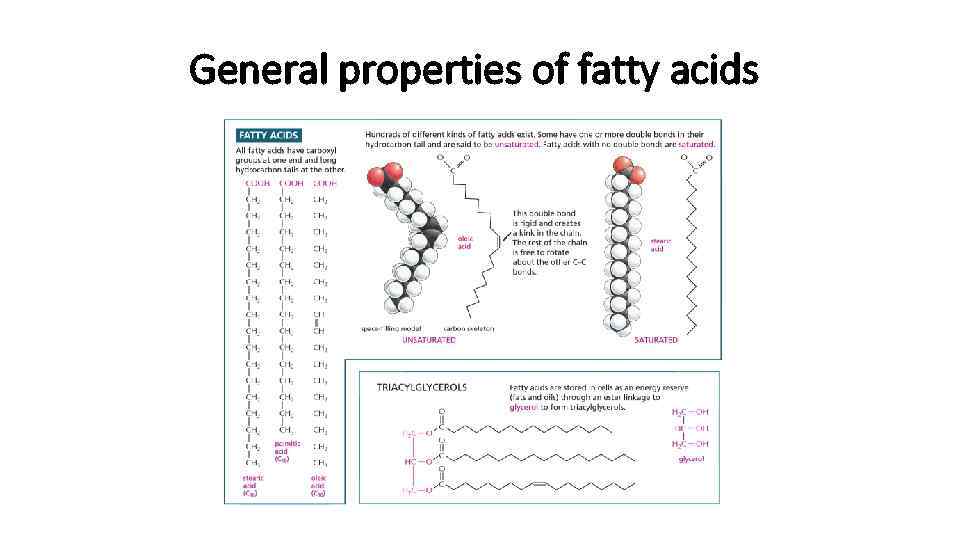 General properties of fatty acids 