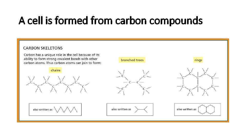 A cell is formed from carbon compounds 