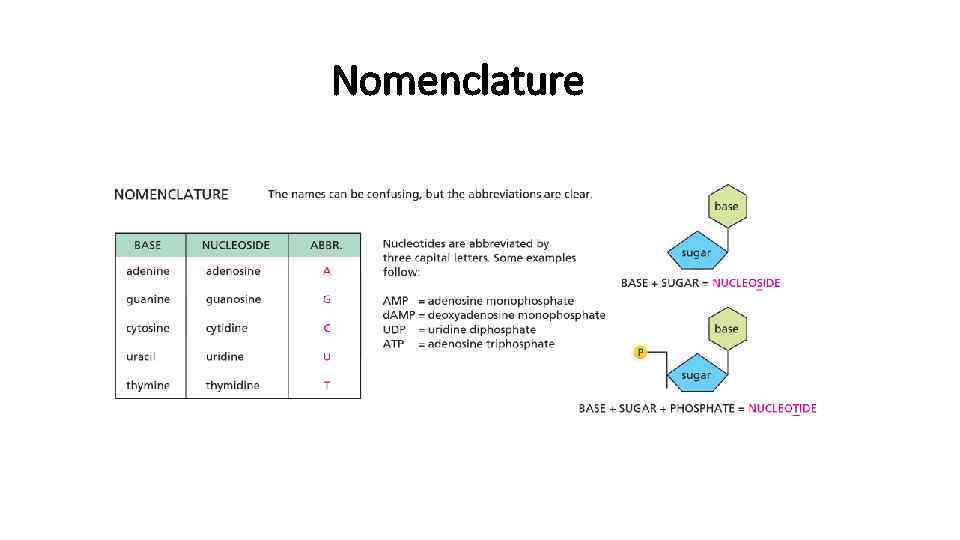 Nomenclature 