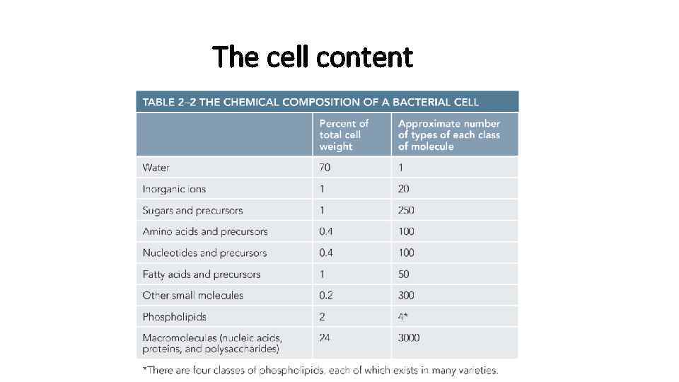 The cell content 