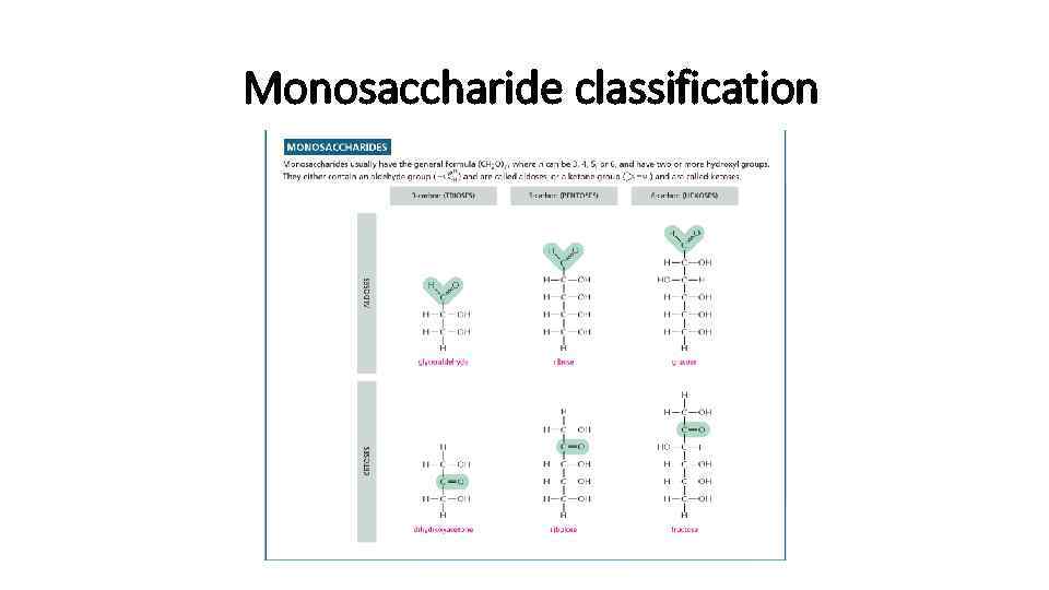 Monosaccharide classification 