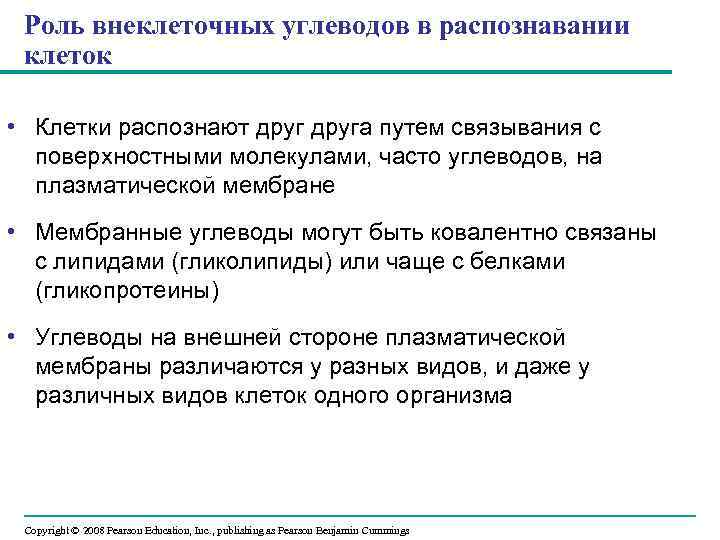 Роль внеклеточных углеводов в распознавании клеток • Клетки распознают друга путем связывания с поверхностными