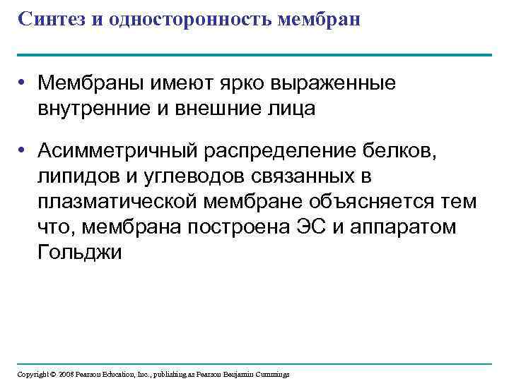 Синтез и односторонность мембран • Мембраны имеют ярко выраженные внутренние и внешние лица •